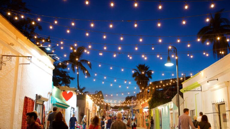 Discover Baja California Sur Cultura