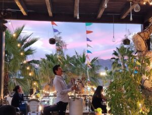 Best Things to Do in San José del Cabo | Simaruba