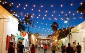 Best Things to Do in San José del Cabo | Simaruba